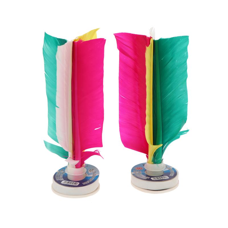 Nieuwe 6 Stuks Game Shuttle Tr - Feather Shuttlecock recensie en prijs