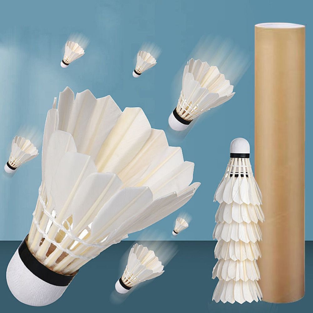 12 Stuks Professionele Witte G - Feather Shuttlecock recensie en prijs